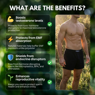 Organic Cotton Boxers (3 Pack)