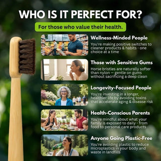 Horse Bristle & Bamboo Toothbrush