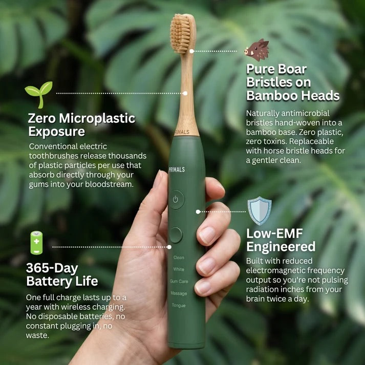 Boar Bristle Electric Toothbrush