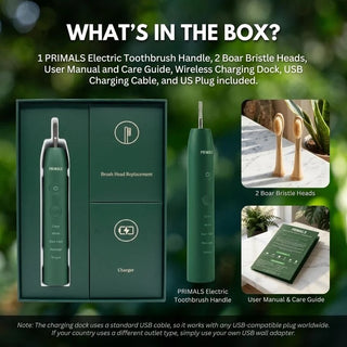 Boar Bristle Electric Toothbrush