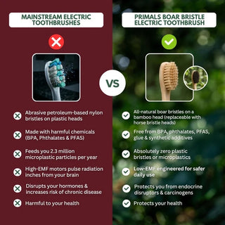 Boar Bristle Electric Toothbrush