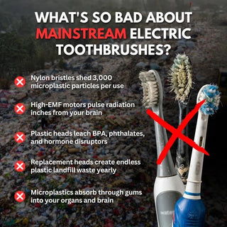 Boar Bristle Electric Toothbrush
