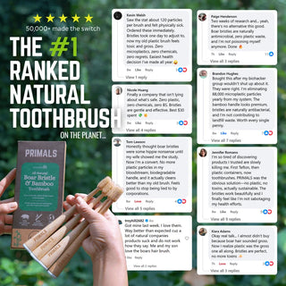 Boar Bristle & Bamboo Toothbrush (4 Pack)