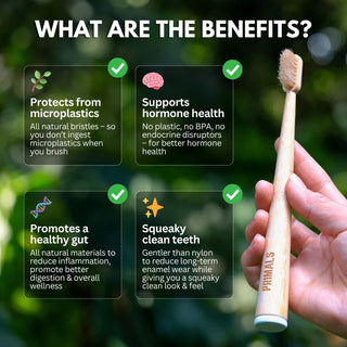 Boar Bristle & Bamboo Toothbrush (4 Pack)
