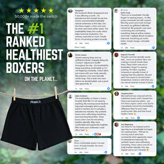 Organic Cotton Boxers (3 Pack)