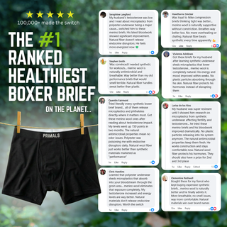 Merino Wool Boxer Brief