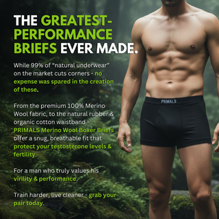 Merino Wool Boxer Brief